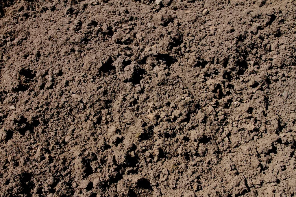 Почвогрунт плодородный